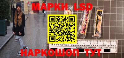 стаф Донецк