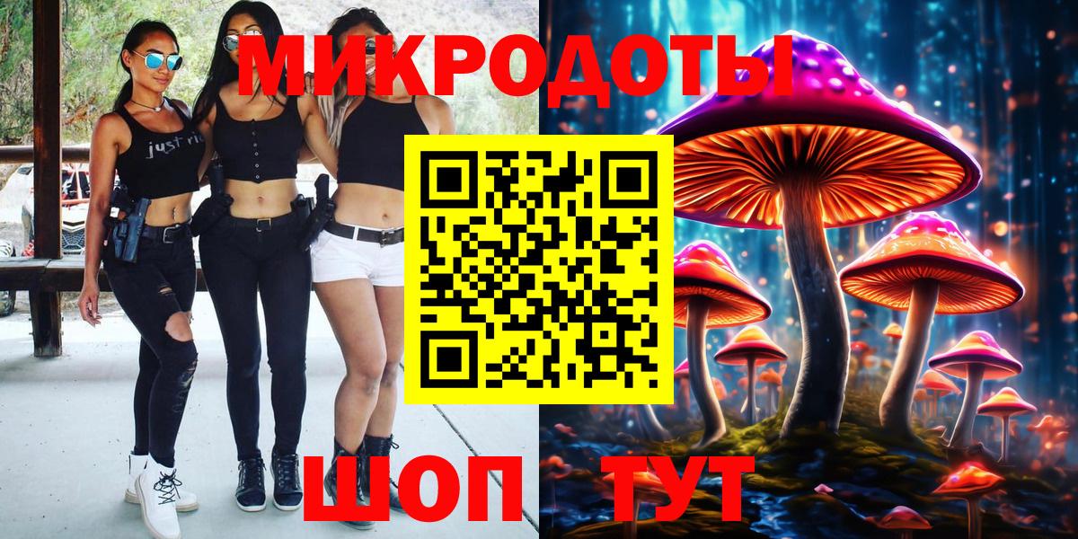 Псилоцибиновые грибы Psilocybe Луга