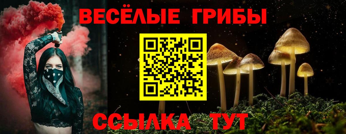закладки  Вход с VPN  Луга  Псилоцибиновые грибы Magic Shrooms 